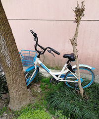 ��������Ҳ������ͣ