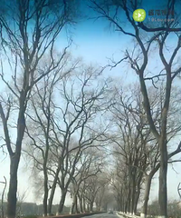 �ǲ��Ǻ���