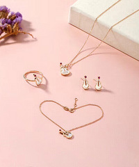 С������װ