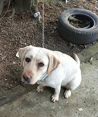 һ���ĸ���������� ��û�����ճ���   ��������Ҫ��