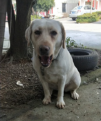 һ���ĸ���������� ��û�����ճ���   ��������Ҫ��