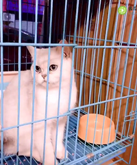 5����������ܵ� �ؼ�1888