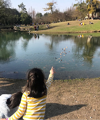 阳春三月最适合太子湾游玩了,带个草坪垫贼舒服