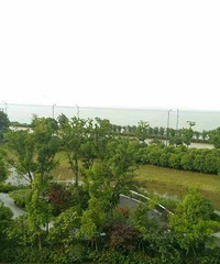 为了撩妹,你认识了陌陌[ej=1f46b