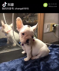 С����ϲ����ϵ