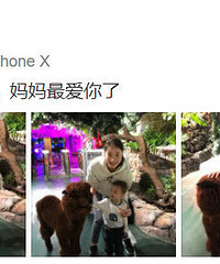 谢杏芳带儿子游动物园,2岁的小羽越来越像林丹