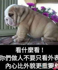 找女朋友,结婚的那种,其他目的的非诚勿扰!
