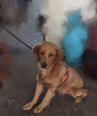 �����ë������