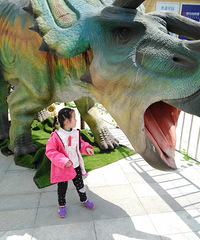 �Ϳ���һ����