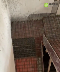 专业钢结构混泥土现浇隔层施工别墅土建设计