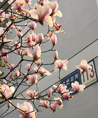 ��֮�衭��