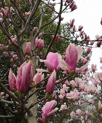 ��֮�衭��