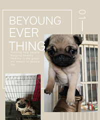 �������͸���Ȯ