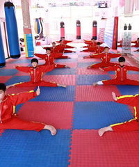 幼儿学武术是最好的时间段.