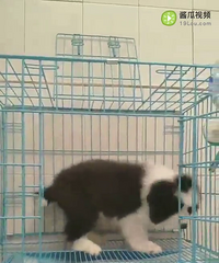 2���µ�С��������¥