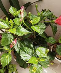 ��̨������