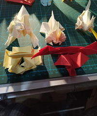 ��ֽ����������֯һ����ֽ�