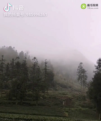 ?#19981;?#36825;里吗£¿?#34384;?#39532;牛山生态有机茶?#21834;?有