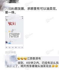 学校的奇葩作业又来了?上哪儿搞油菜花……