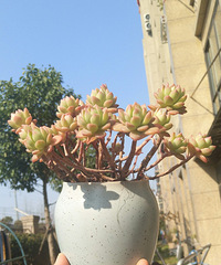 �þ�û����������ӡ��