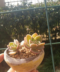 好久没来,留个脚印。