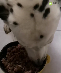 �����һ�εļ�����