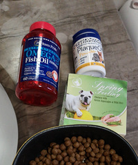 �����һ�εļ�����