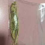 批发价传统食材