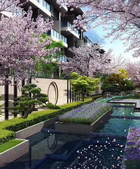 嘉兴·纯粹花园叠墅大树集团《水月轩》项目