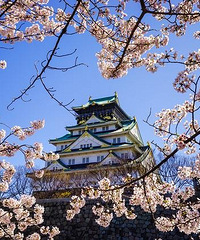 2019ů�Ϳ�������������