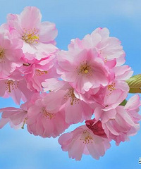 2019ů�Ϳ�������������