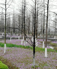 �����Ĵ��� ���������̵�