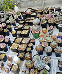 ������ϲ���������ڵ����û�о�ϲҲû���ڴ�