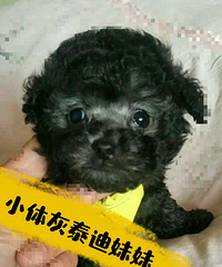 ����̩�����¼�