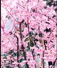 ����֮��