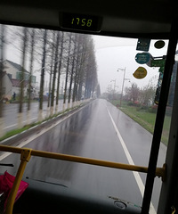 �����빫������