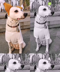 ���ȹù�֮��һ�������