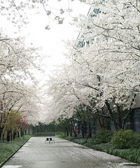 �����ӣ��   ��Ҳ�㿴����