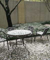 �����ӣ��   ��Ҳ�㿴����