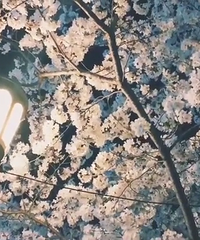 ΢���ᴵ�ǳ� # ����ɹ���� #