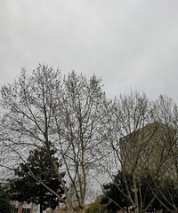 ������Ϣ