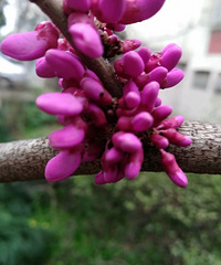 �����Ĵ���