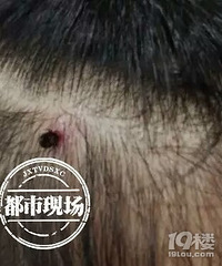 �Ͻ���������ͷ�����ҳ��궼�ŵ��ˣ��ٴ�����ȥ����