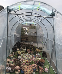 �����ҵ�