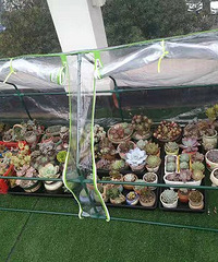 �����ҵ�