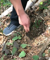 ?#36824;?#34588;坑去爬山£¬没想到爬了5.3公里的山路