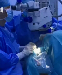 ���ž�ʹ��С��ȥ���˫��Ƥ����������۾�