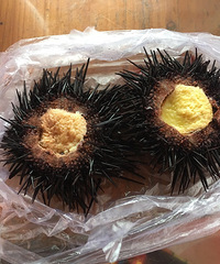 中国10大最美小岛,南麂岛认证