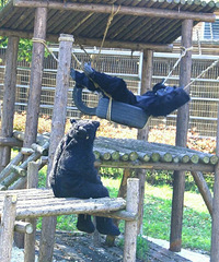 Ц�����У�����԰���ɾ����˰�ģ�180Ԫ��Ʊ�͸��ҿ��⣿