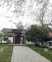 植物园这几口大缸听说是网红地£¿干啥的